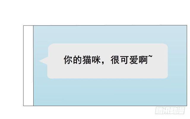 第二季 第20集 猫咪危机(1/2)-第144话