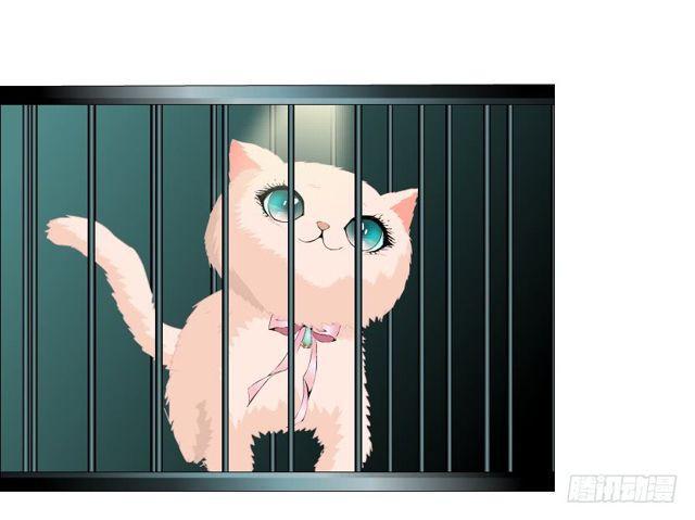 第二季 第20集 猫咪危机(1/2)-第144话