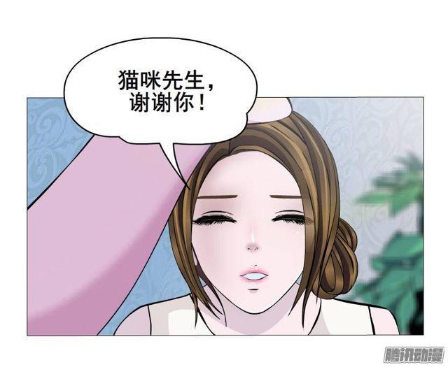 第44集 猫先生的守护-第48话