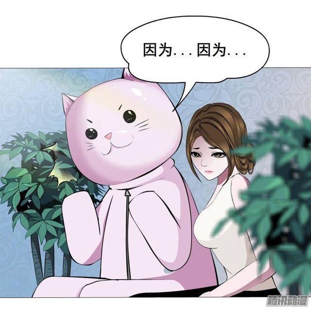 第44集 猫先生的守护-第48话
