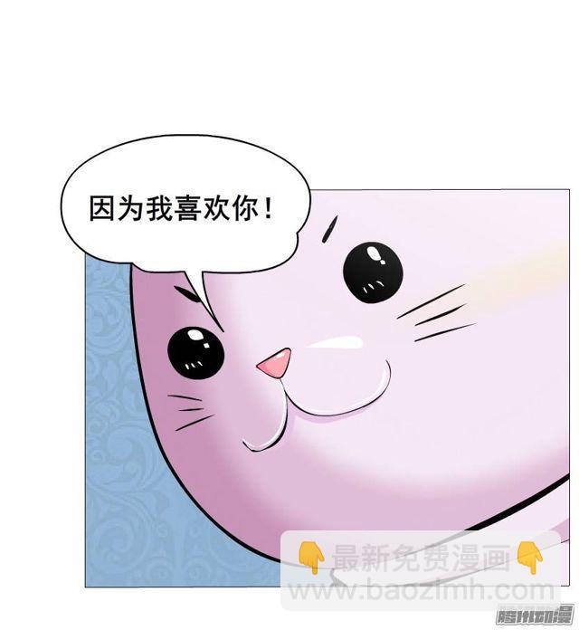 第44集 猫先生的守护-第48话