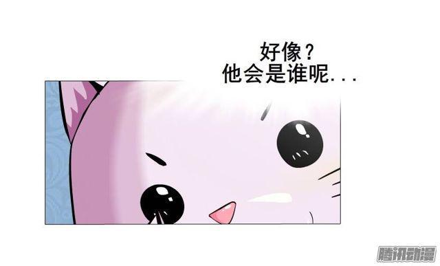 第44集 猫先生的守护-第48话