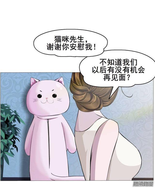 第44集 猫先生的守护-第48话