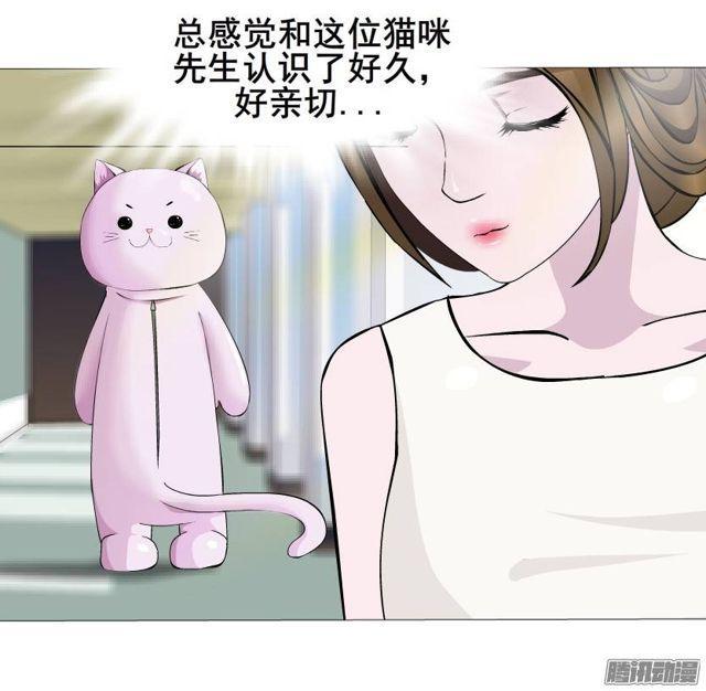 第44集 猫先生的守护-第48话