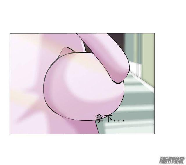 第44集 猫先生的守护-第48话