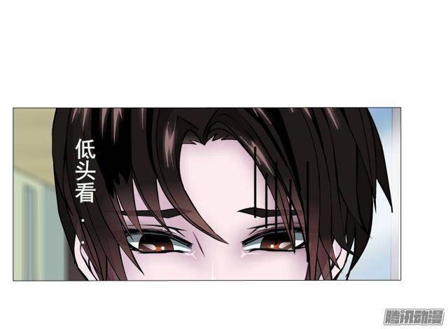 第44集 猫先生的守护-第48话