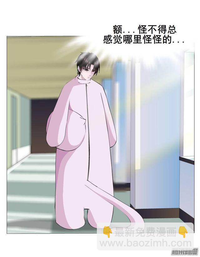 第44集 猫先生的守护-第48话