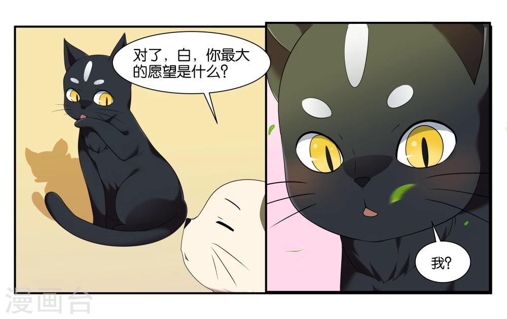 第14话 实现愿望的人-第16话