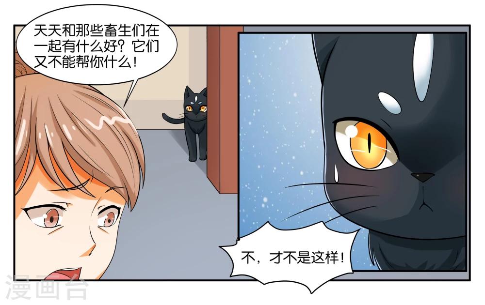 第16话 迷路的小猫咪-第18话