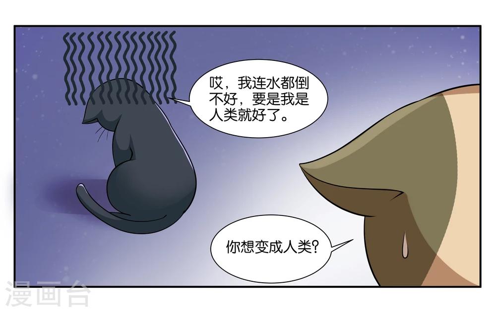 第16话 迷路的小猫咪-第18话