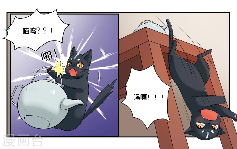 第16话 迷路的小猫咪-第18话