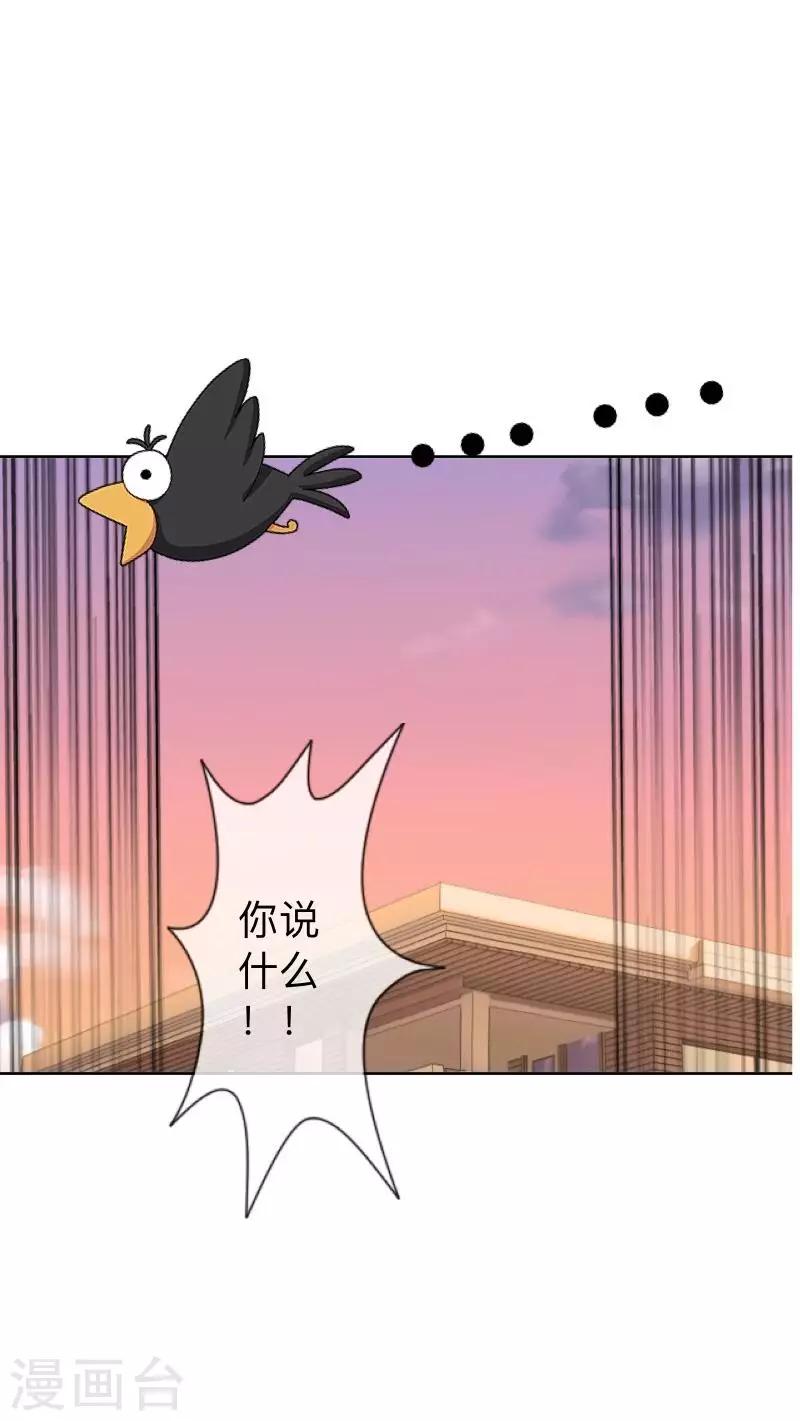 第12话 新闻发布会-第12话