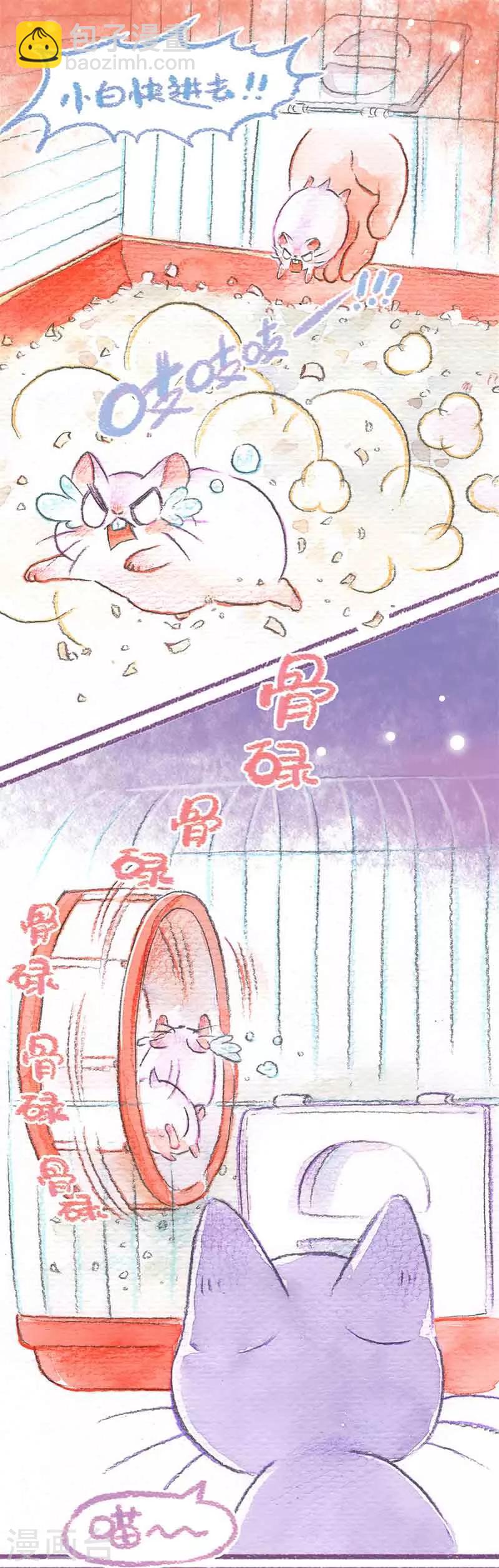第20话 仓鼠快跑-第20话