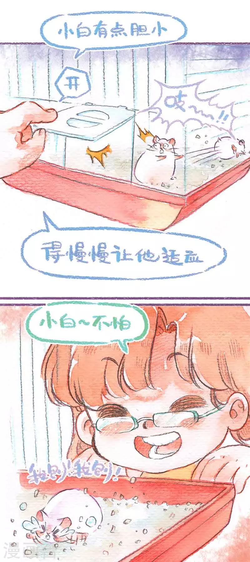 第20话 仓鼠快跑-第20话