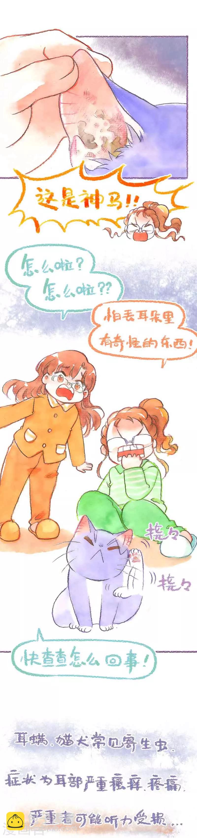 第34话 耳螨-第34话