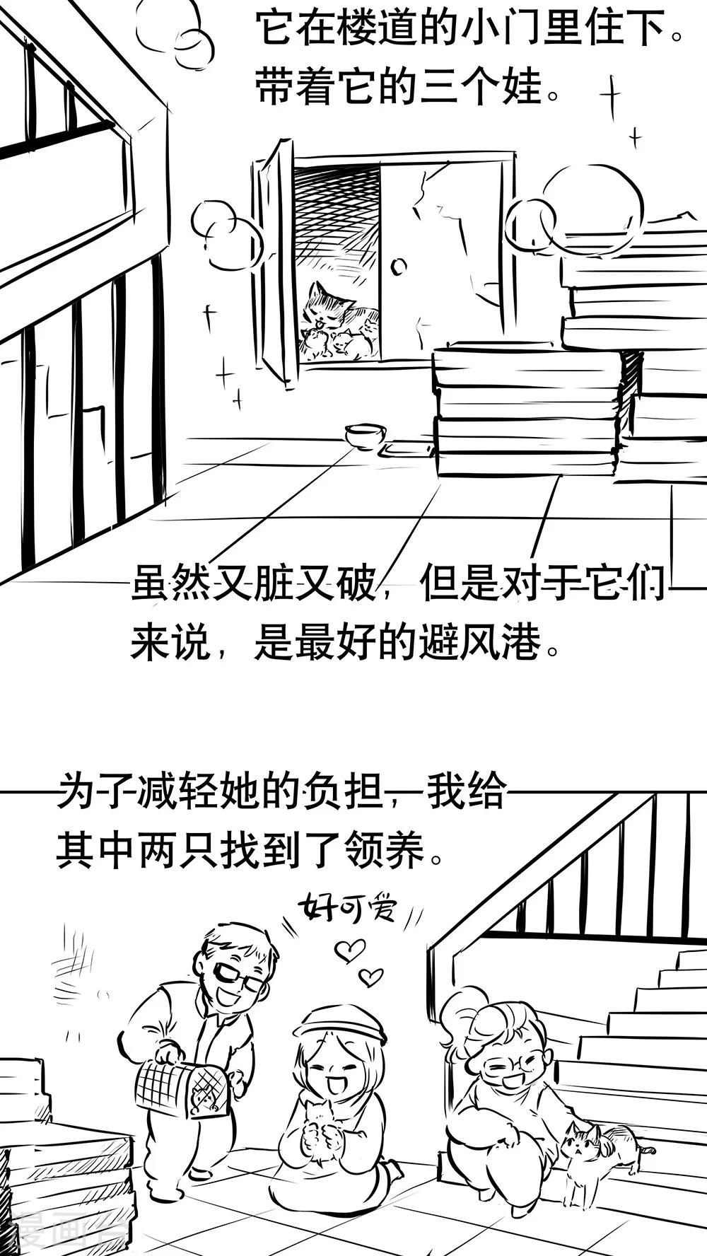 番外2 冬天来了-第58话