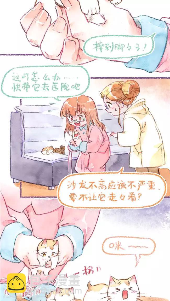第73话 保险起见-第78话