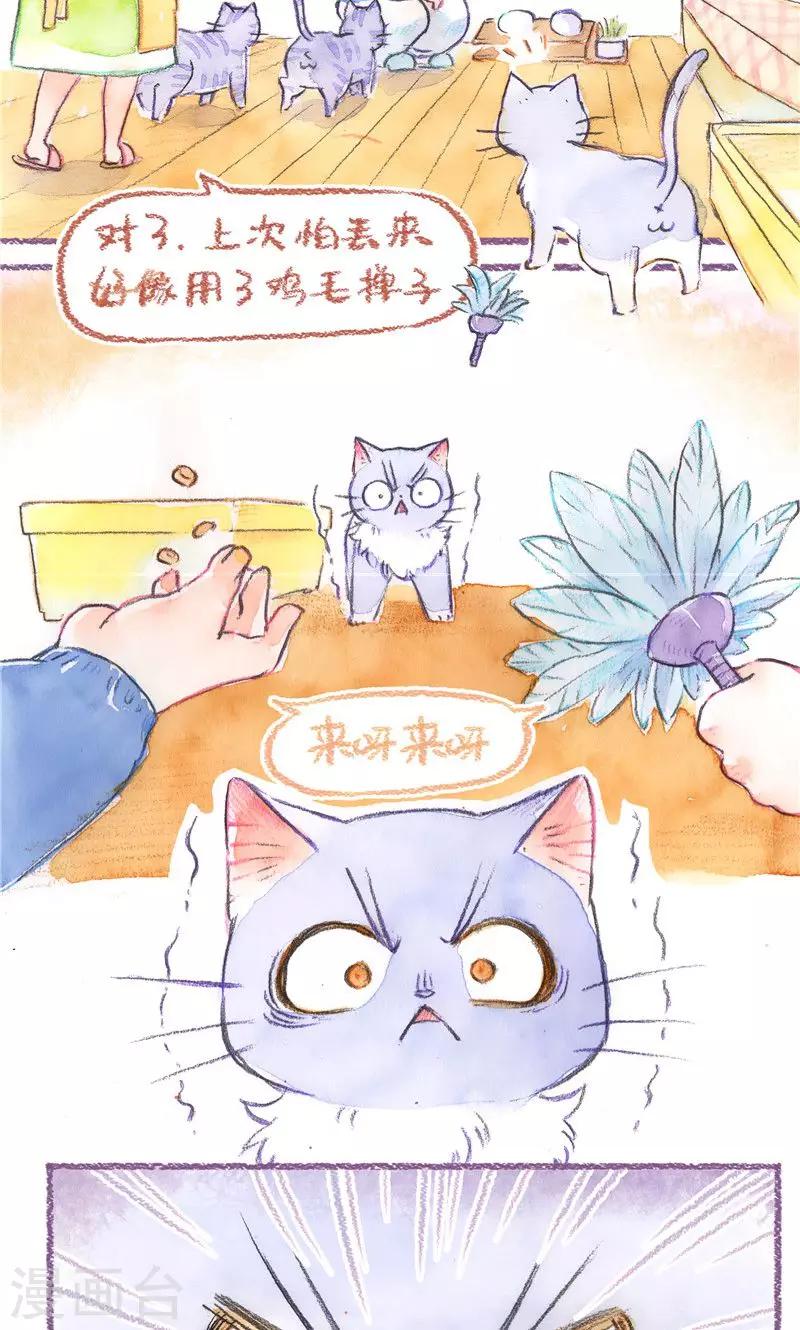 第77话 地缚灵怕丢-第84话