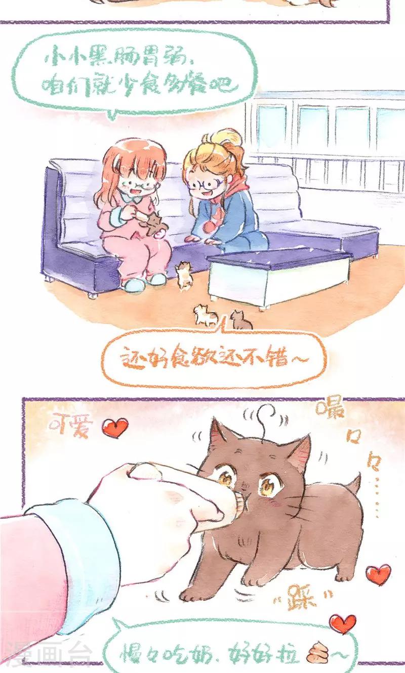 第79话 BB大作战-第86话