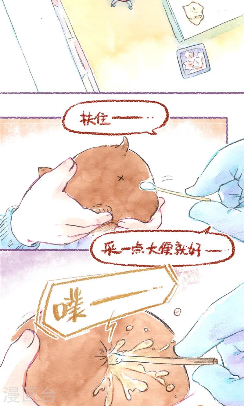 第81话 生命的重量-第88话