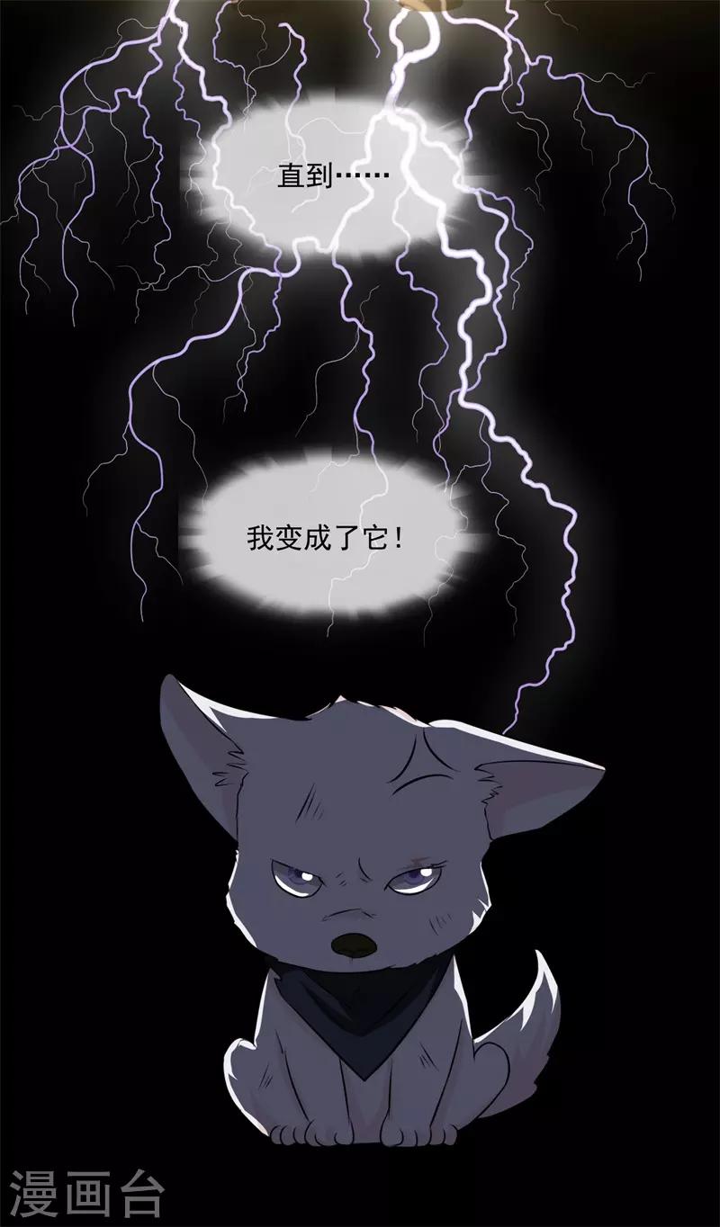 第50话 腹黑总裁小野狗1(1/2)-第50话