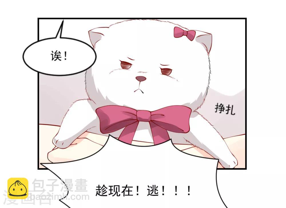 第10话 宠物恋人2(1/2)-第10话