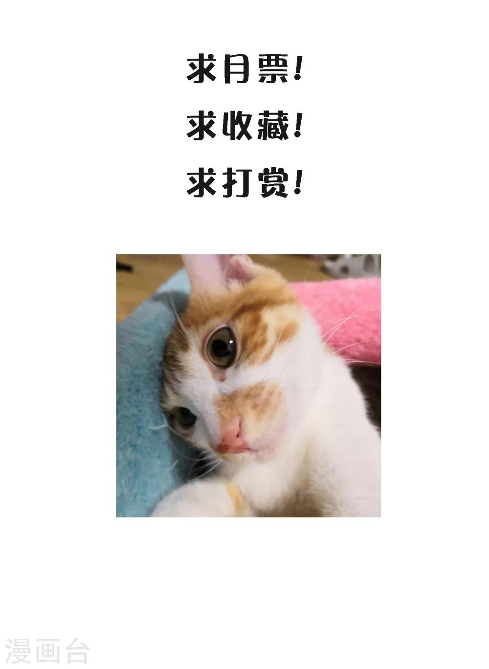 第25话1 可笑的弱点-第28话