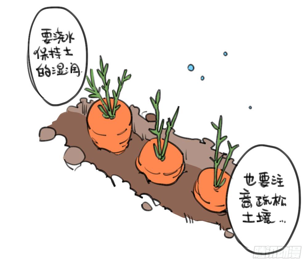 🍝破耳兔poruby 24、哇…本兔真是太惨了…太惨了 第5页