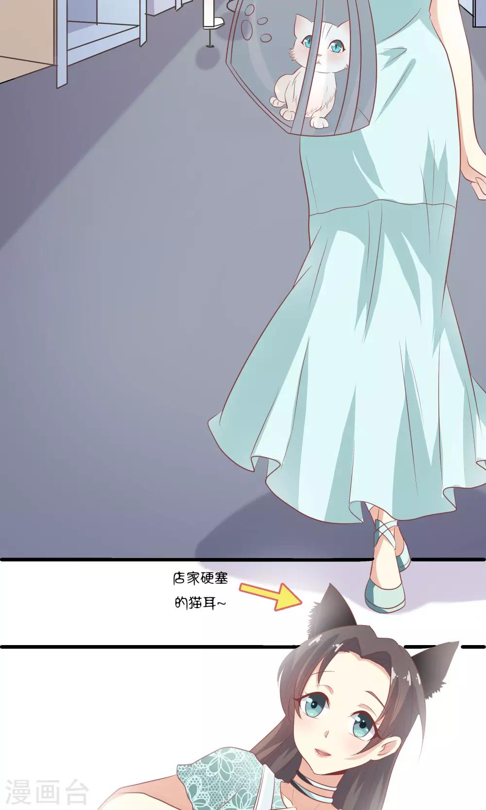 第11话-第12话