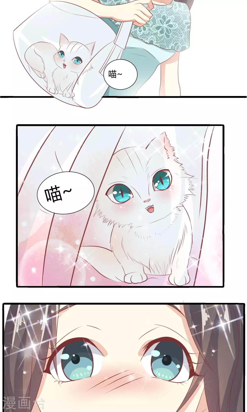 第11话-第12话