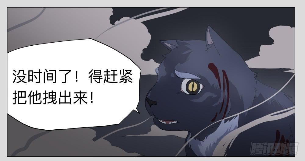 012猫和他的猫part4-第12话