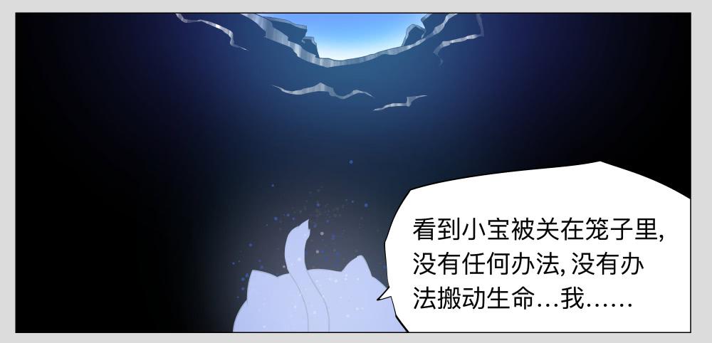 014猫和他的猫part6-第14话