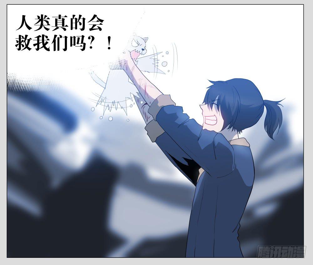 014猫和他的猫part6-第14话
