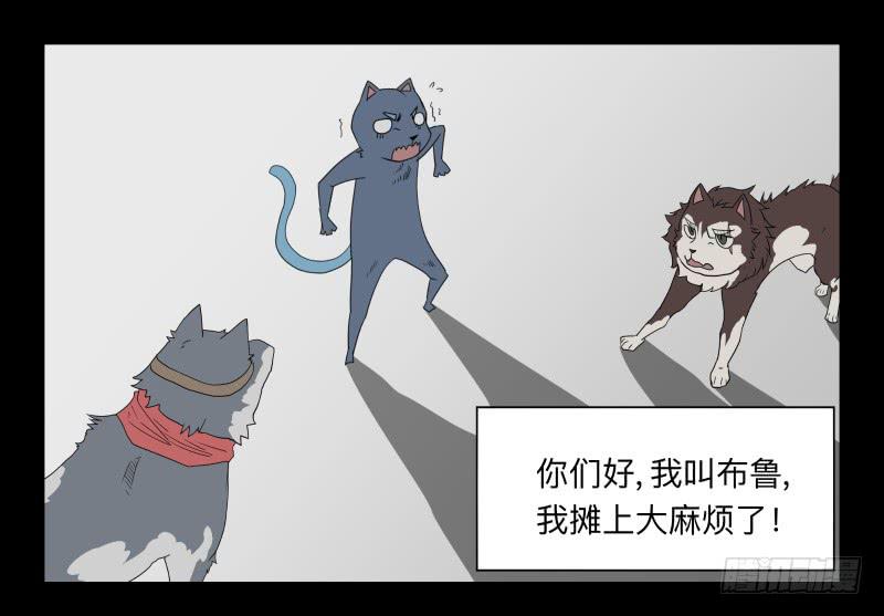 052-猫左犬右part2-第52话
