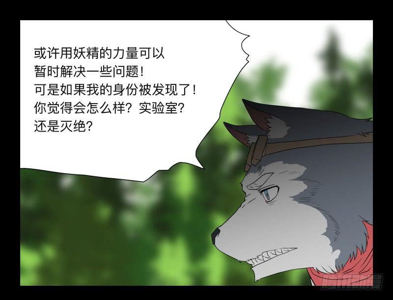 052-猫左犬右part2-第52话