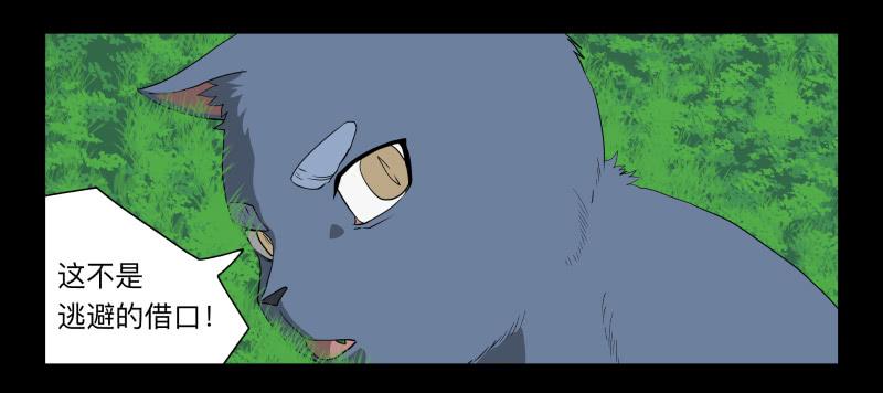 052-猫左犬右part2-第52话