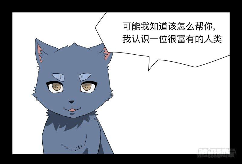 052-猫左犬右part2-第52话