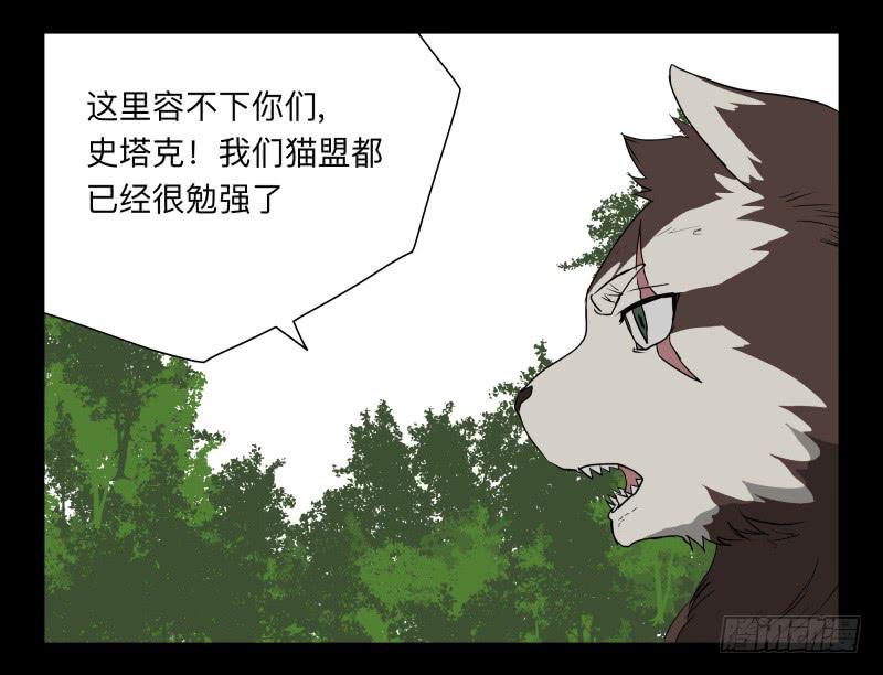 052-猫左犬右part2-第52话