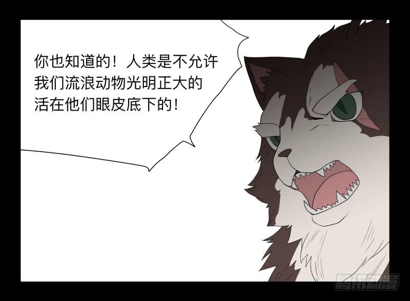 052-猫左犬右part2-第52话