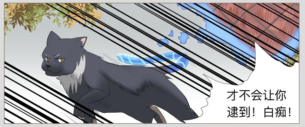 010猫和他的猫part2-第10话
