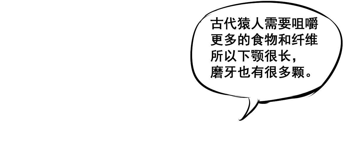 锤子当然是用来拔牙的-第12话
