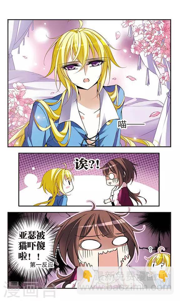 第74话 变身成猫的亚瑟-第74话