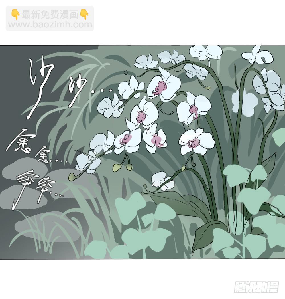 爱与自由（上）-第46话