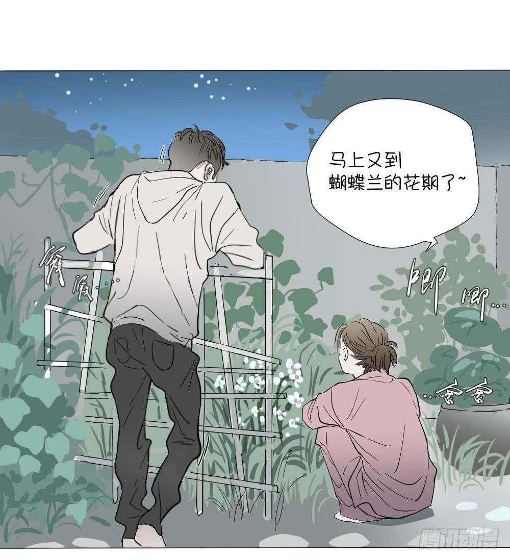 爱与自由（上）-第46话