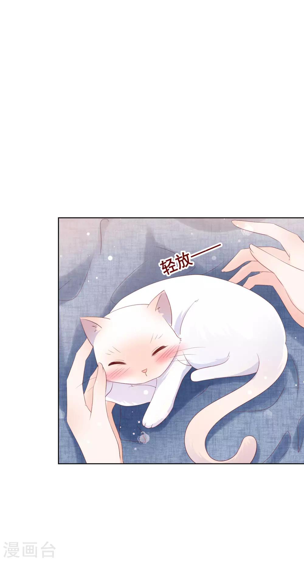 第134话 我想要变成你的猫咪！-第140话