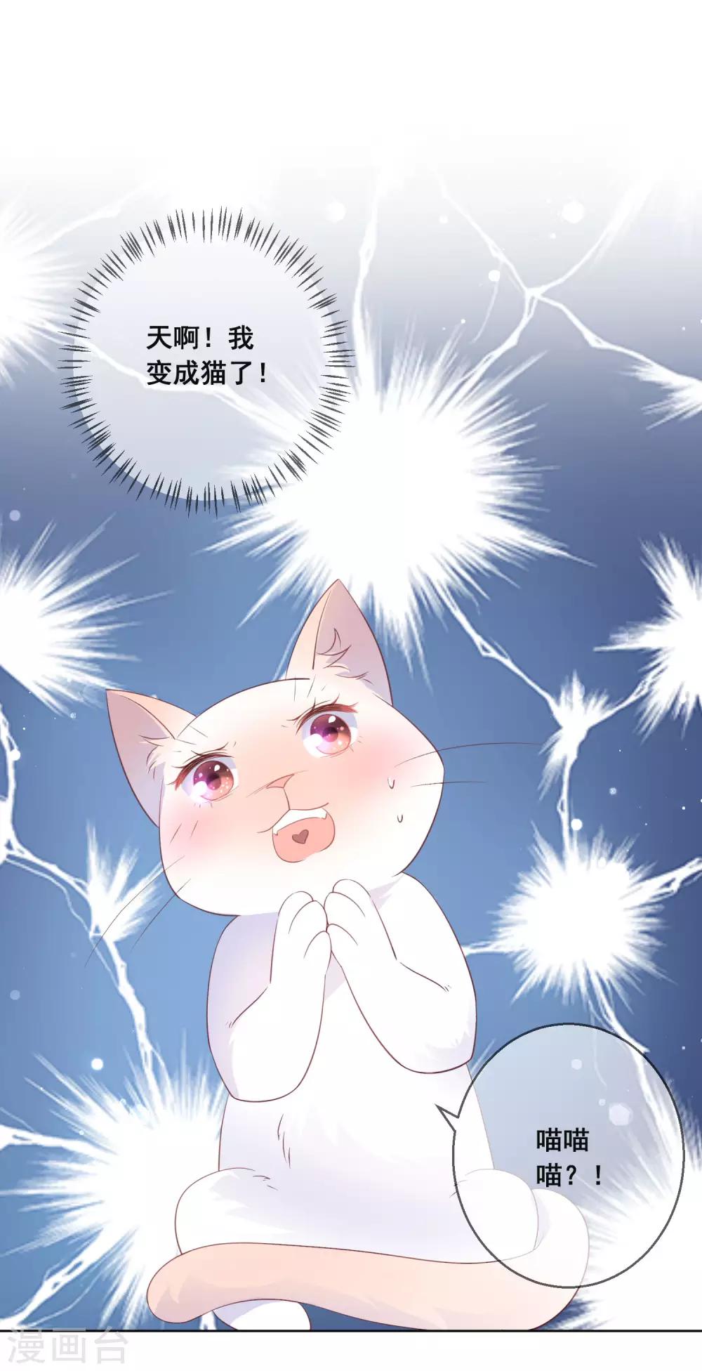 第134话 我想要变成你的猫咪！-第140话