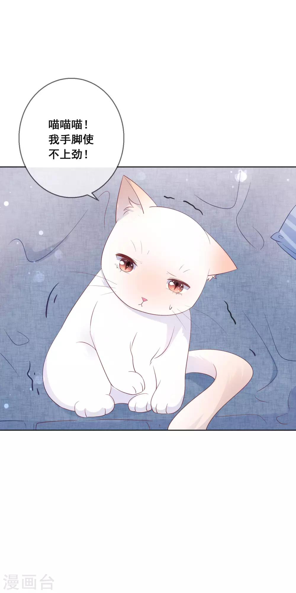 第134话 我想要变成你的猫咪！-第140话