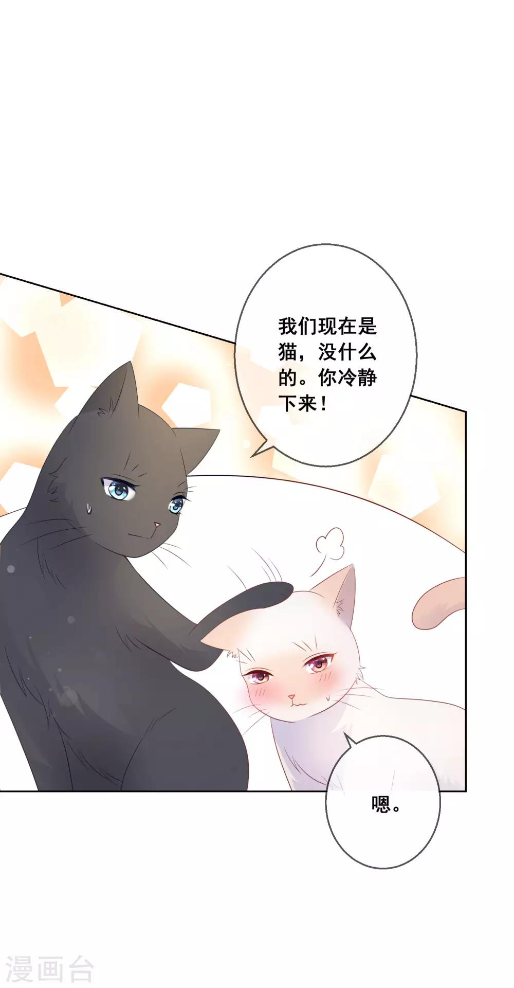第138话 我怎么变小了？！-第144话