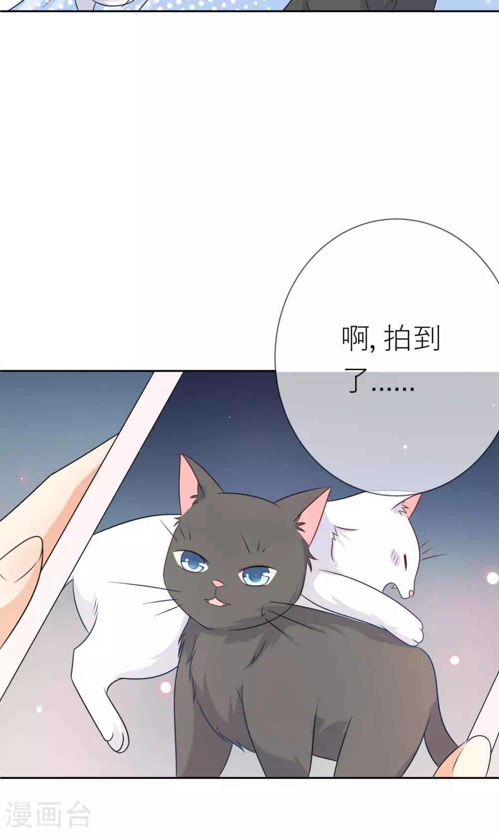 第3话 人间极乐是喵咪-第4话