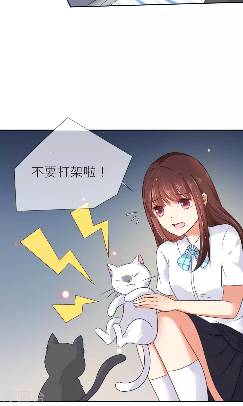 第3话 人间极乐是喵咪-第4话